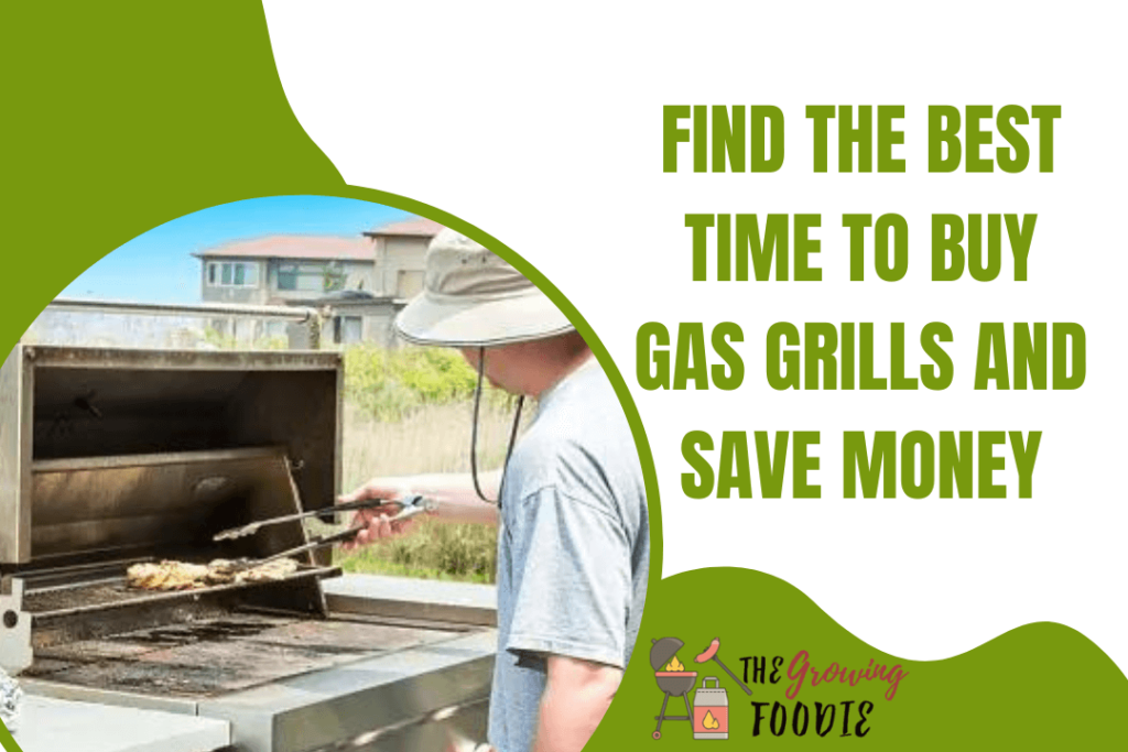 Find the Best Time to Buy Gas Grills and Save Money