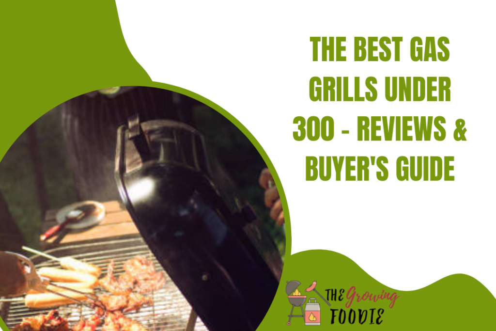 The Best Gas Grills Under 300 - Reviews & Buyer's Guide