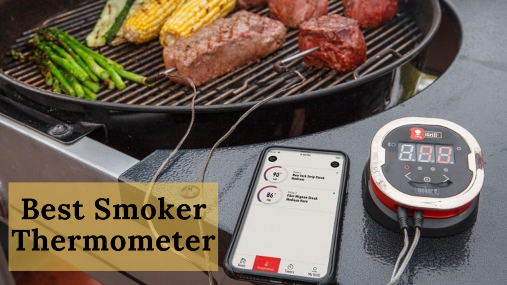 Best Smoker Thermometer
