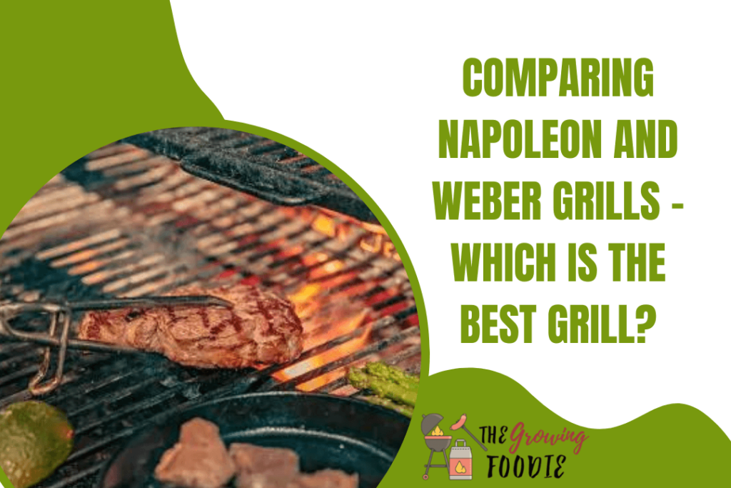Comparing Napoleon and Weber Grills - Which is the Best Grill